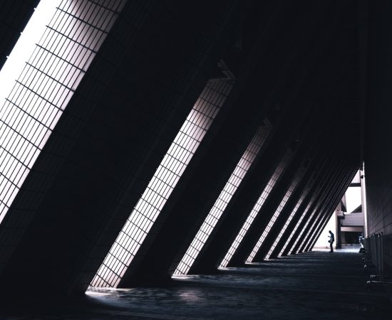 pexels-brayden-law-1738986